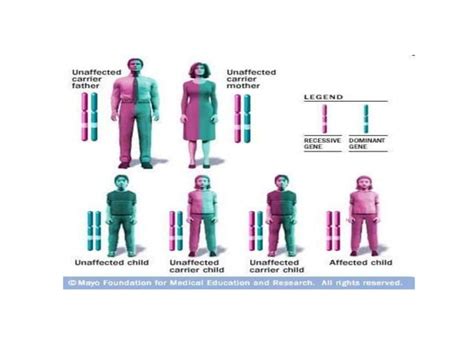 Sickle-Cell-Anemia-Powerpoint presentation | PPTX
