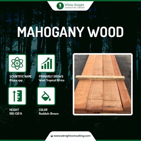 Mahogany Wood Properties, Types & Uses: A Complete Guide