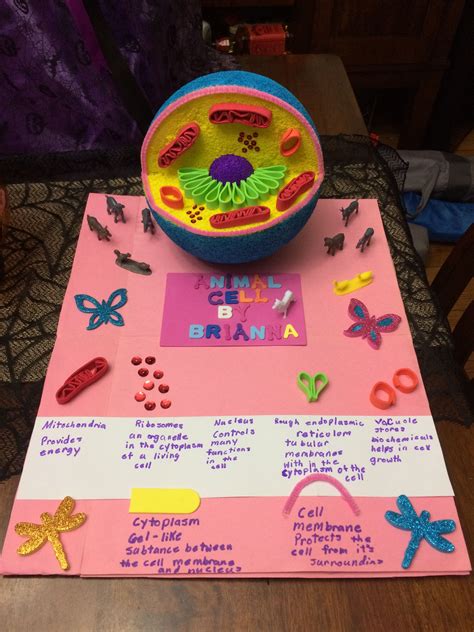 Animal Cell Poster Project Ideas
