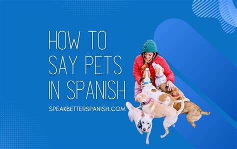 How to Say Pets in Spanish? Animal Vocabulary in Spanish - Speak Better ...