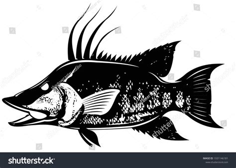 10 Spanish Hog Fish Images, Stock Photos & Vectors | Shutterstock