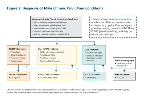 Diagnosis and Management of Male Chronic Pelvic Pain (Chronic Prostatitis/Chronic Pelvic Pain ...