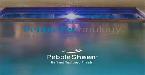 Image result for Pebble Tech Pool Installation