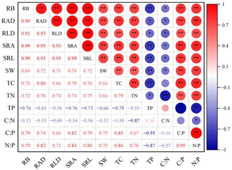 Morphological Traits and Water–Nutrient Utilization Efficiency of ...