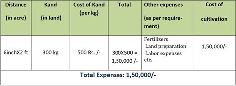 Safed musli Project | Safed musli contract farming - SSP Group