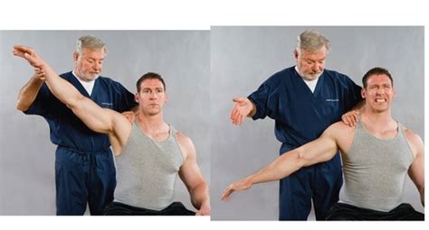 Rotator Cuff Muscles Test 的图像结果