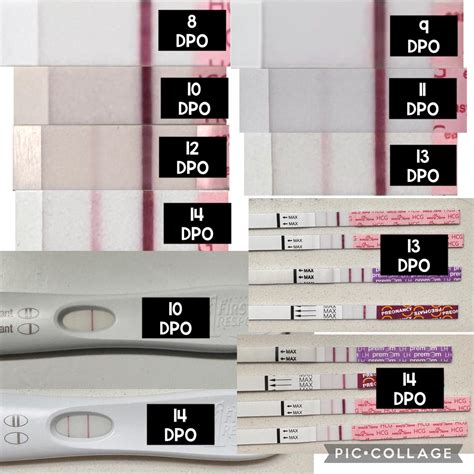 14 DPO, FRER, E@H, and Pregmate progression/comparison : r/TFABLinePorn