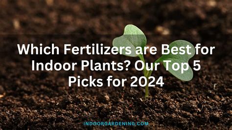 Which Fertilizers are Best for Indoor Plants: 2024 Top Picks | Indoor ...