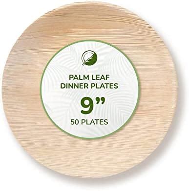 THE CLEAR CONSCIENCE TCC - Palm Leaf Dinner Plates, 9" round, 50 pcs ...