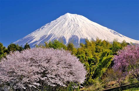Online booking for a day trip to Mount Fuji, Oshino Hakkai, and Gotemba ...