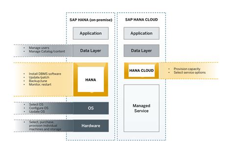 Understand the Differences Between SAP HANA On-Premise and SAP HANA ...