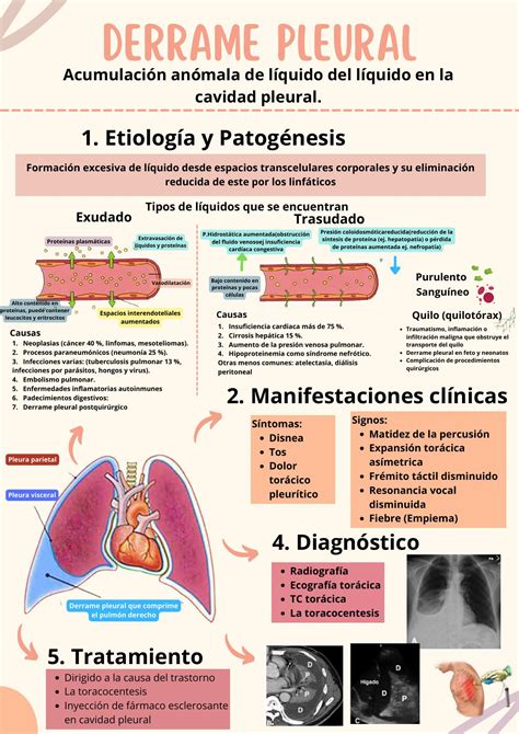 Fisiopatologia Do Derrame Pleural PDF) Derrame Pleural: Métodos De