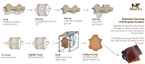 Image result for Leather Making Process