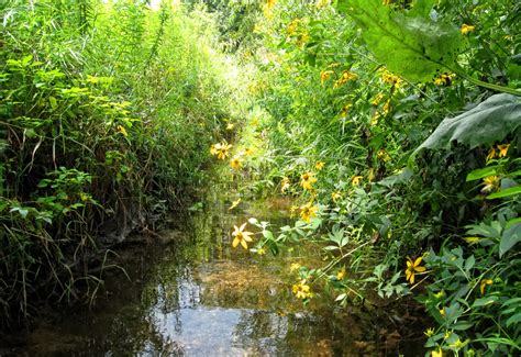 Projects Archive - raSmith