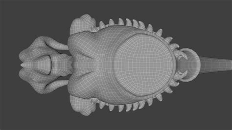 Image result for Digi Modelling Example