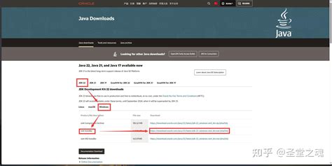 Minecraft Java Installer 的图像结果