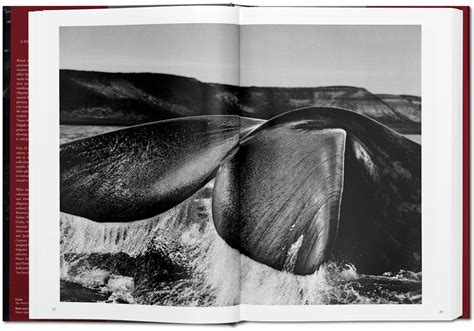 Sebastião Salgado. GÉNESIS. Libros TASCHEN