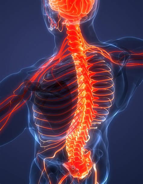 Image result for Via Disc Procedure