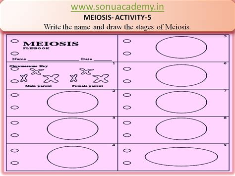 SONU ACADEMY: MEIOSIS - ACTIVITY 5
