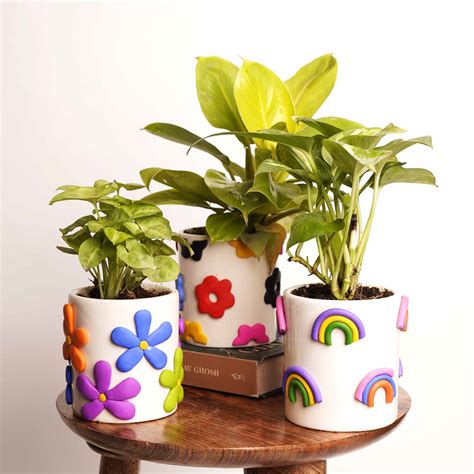 Planters – Local Kala