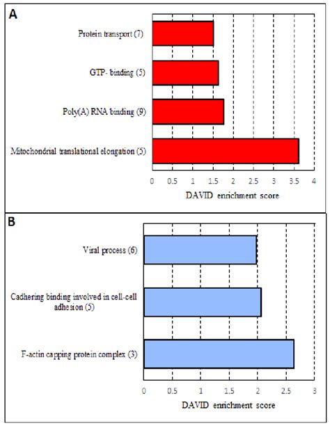 Image result for David Database Tutorial