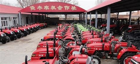 中国农业大学新闻网 媒体农大/科技之窗 中国农业大学烟台研究院科技助农“为群众办实事”