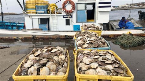 Statecraft | China Calls Japan “Selfish and Irresponsible” Amid ...