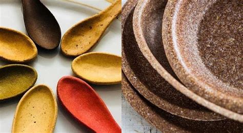 Three Indian companies promoting sustainability through eco-friendly ...