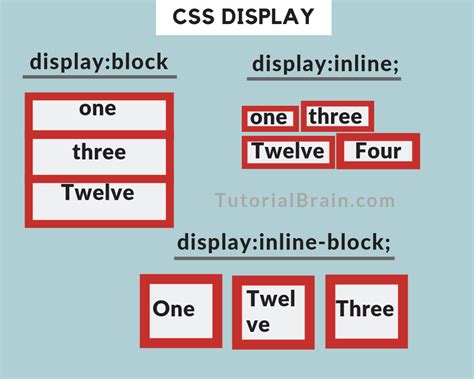 Image result for CSS Tutorial Display