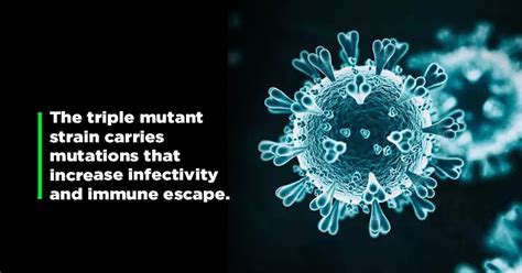 Everything That We Know So Far About The Triple Mutant Strain Of COVID ...