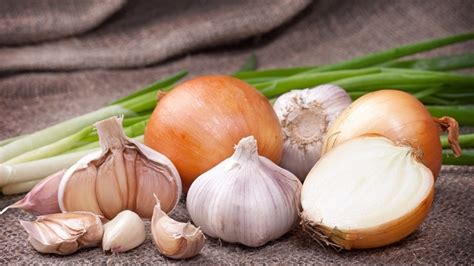 Vertical Diet Explained 的图像结果