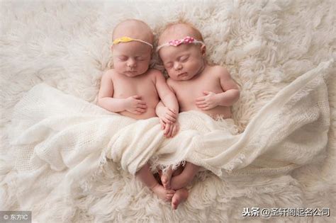 双胞胎女孩起名诗诿,双胞胎女孩起名双胞胎女孩:蔡羽()蔡羽()蔡奕()蔡奕()蔡伊