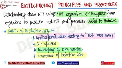 Image result for Biotechnology Process