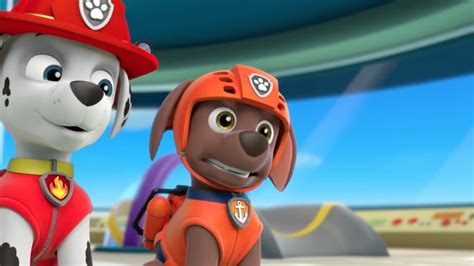 Zuma Paw Patrol