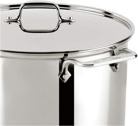 Buy All-Clad E9078064 Stainless Steel Multicooker with Perforated Steel ...