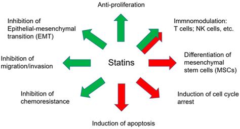 IJMS | Special Issue : Cancer Prevention with Molecular Target ...