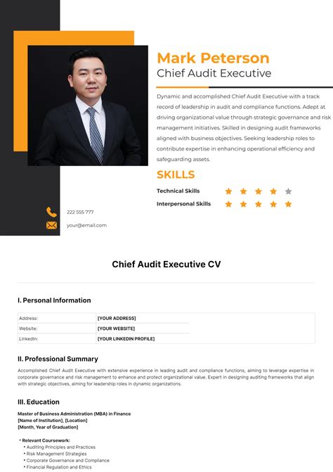 Chief Audit Executive