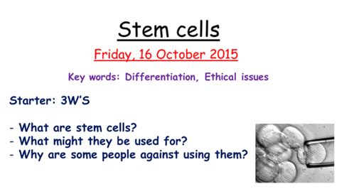 Stem Cells Free Science Lessons 的图像结果