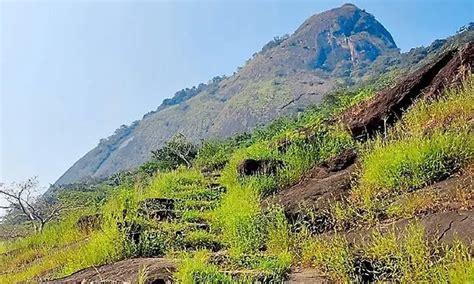 Gadaikallu trekking reopens from Thursday; prior registration mandatory