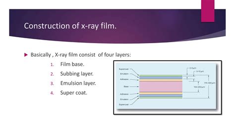 Layers Of X Ray Film