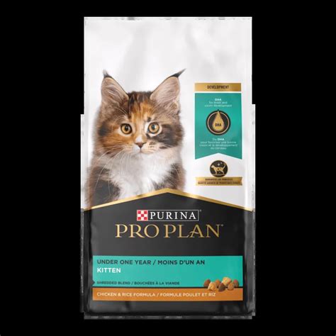 Dry Cat Food | Purina