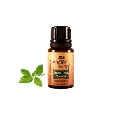 Ancient Living Basil Essential Oil - 10 ml — Ancient Living.in