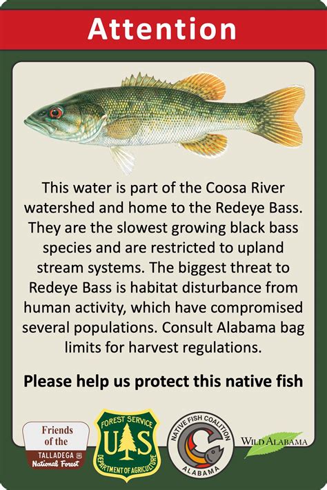 Savannah And Chattahoochee River