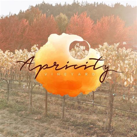APRICITY VINEYARD (2026) All You Need to Know BEFORE You Go (with ...