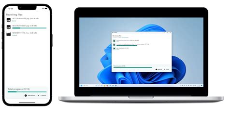 Local Copy vs Download 的图像结果