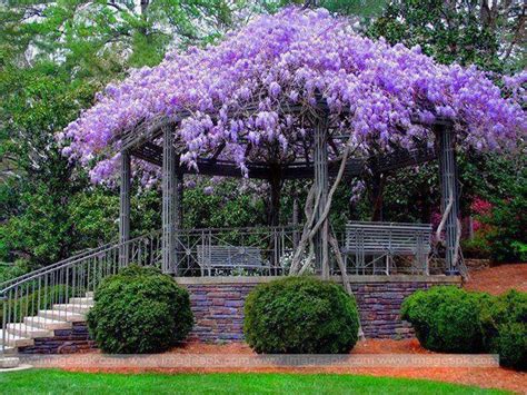 Bing Spring Wallpaper 的图像结果