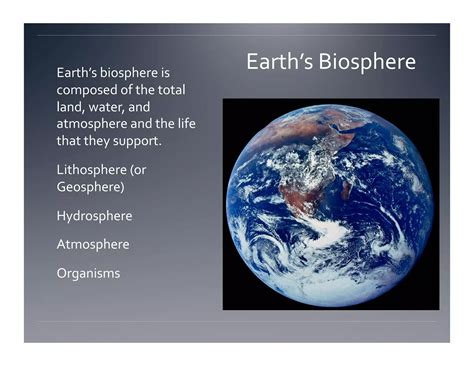 Biosphere Examples 的图像结果