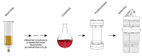 Image result for Solid Phase Synthesis