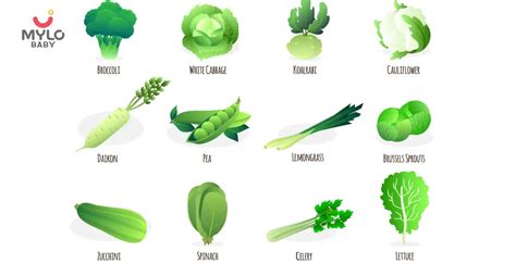 The A-Z Guide to Identifying Green Vegetables Names for Kids | MyloFamily