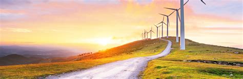Welcome to ABM Environment Consultants
